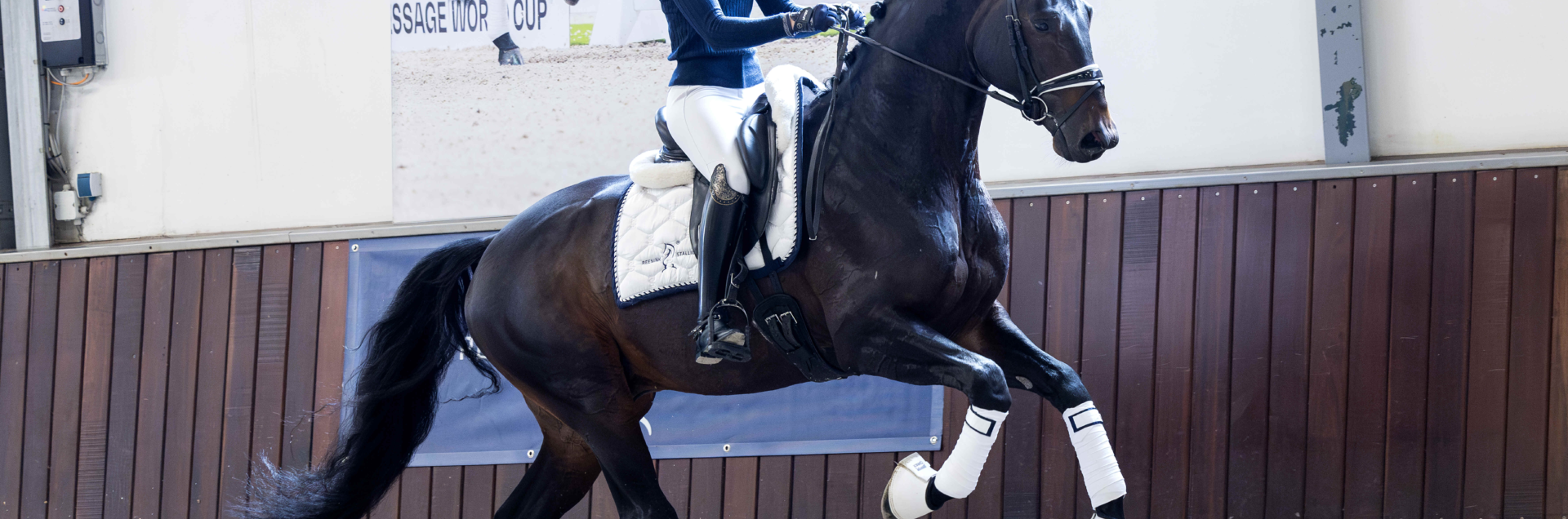 28 Total Diamond galop 1