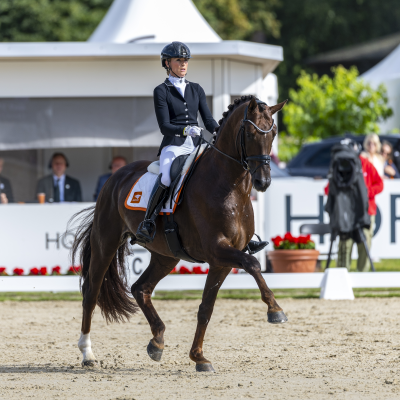 Dinja van Liere Red Viper VERD25 L298572