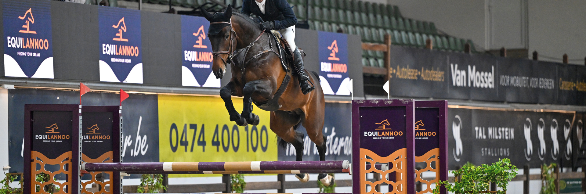 Remondo vd Radstake Springfoto