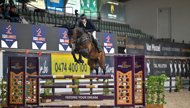 Remondo vd Radstake Springfoto