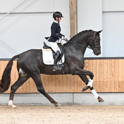 8238c2ef 01a6 4bd1 a9e4 3df8e4688e66