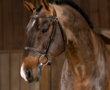 RYDON 01 03 2026 10 23 51