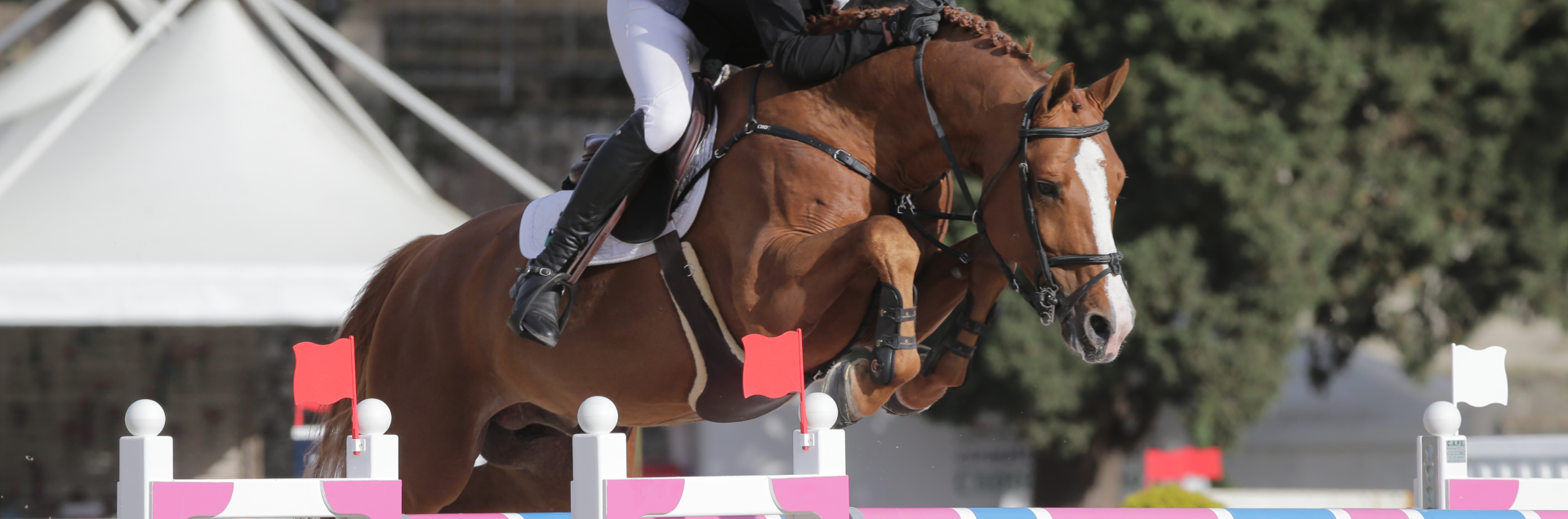 Arezzo VDL