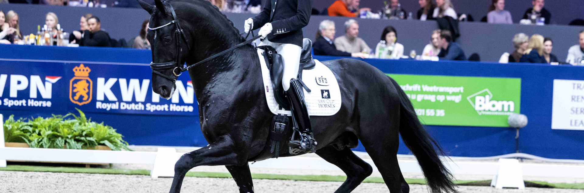 Nalegro draf den bosch U2 A1485 b