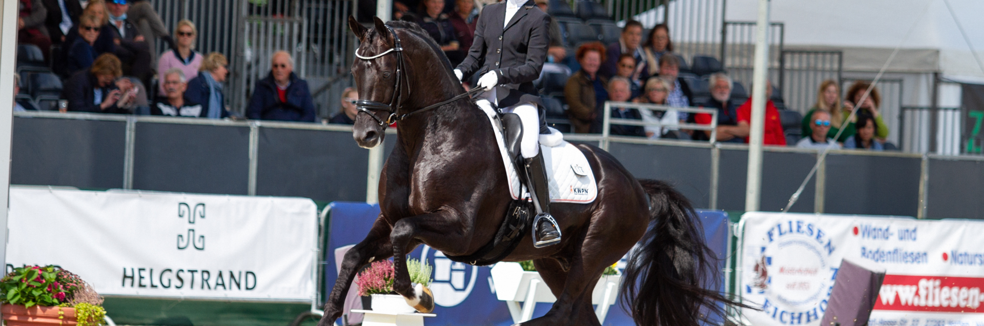 Kjento Galop Timo betaald blz 29